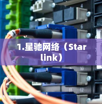 1.星驰网络（Starlink）