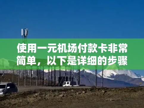 使用一元机场付款卡非常简单，以下是详细的步骤指南