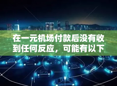 在一元机场付款后没有收到任何反应，可能有以下原因和解决方案