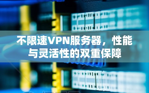 不限速VPN服务器，性能与灵活性的双重保障