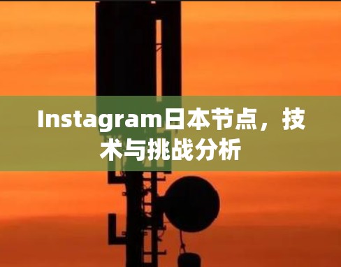Instagram日本节点，技术与挑战分析