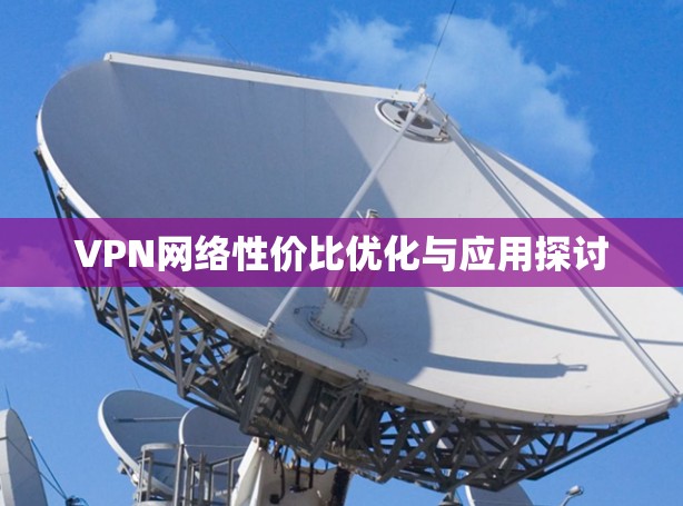 VPN网络性价比优化与应用探讨