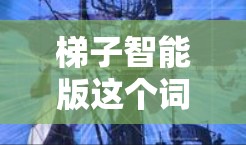 梯子智能版这个词可能有多种解释，具体含义取决于上下文。以下是一些可能的解释