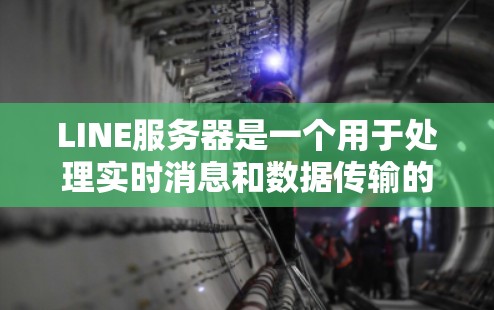 LINE服务器是一个用于处理实时消息和数据传输的高性能服务器，常用于支持即时通讯、文件传输、视频通话等实时交互功能。以下是关于LINE服务器的详细介绍