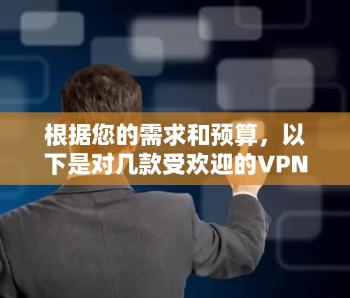 根据您的需求和预算，以下是对几款受欢迎的VPN应用的分析和推荐